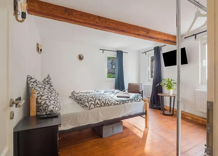 Exklusives In Am Rhein Tatil Evi *